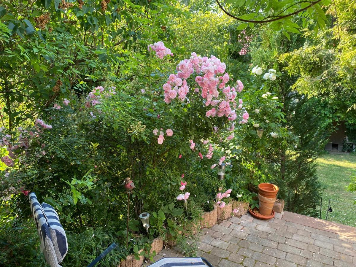 Ferienwohnung Mit Schoener Terrasse. Ellerstadt Extérieur photo