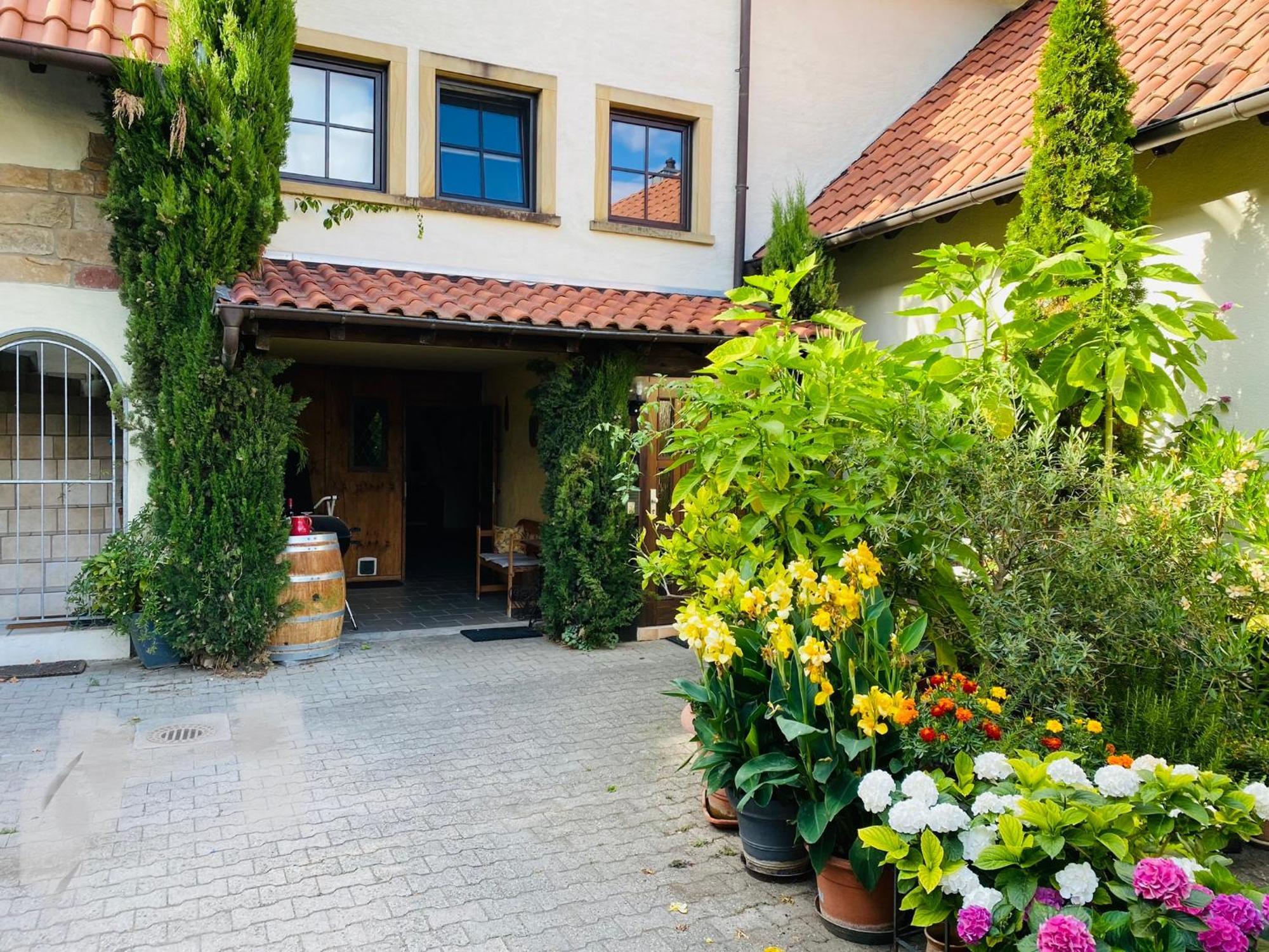 Ferienwohnung Mit Schoener Terrasse. Ellerstadt Extérieur photo